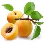 Apricots with leaves on a white background.